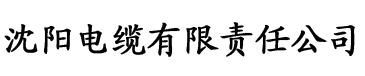 永久免费av网站电缆厂logo